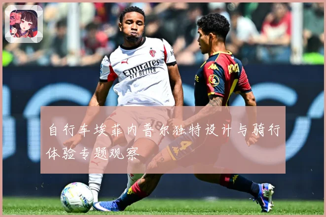 自行车埃菲内普尔独特设计与骑行体验专题观察