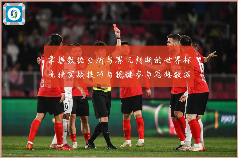 掌握数据分析与赛况判断的世界杯竞猜实战技巧与稳健参与思路数据研判