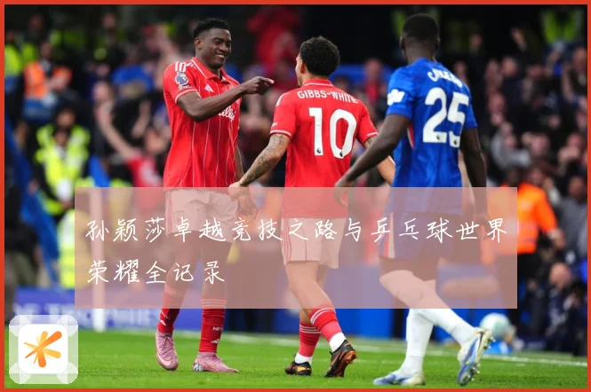 孙颖莎卓越竞技之路与乒乓球世界荣耀全记录