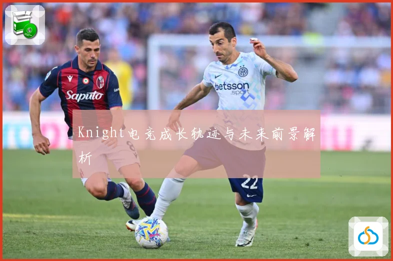 Knight电竞成长轨迹与未来前景解析