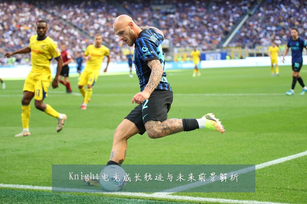 Knight电竞成长轨迹与未来前景解析