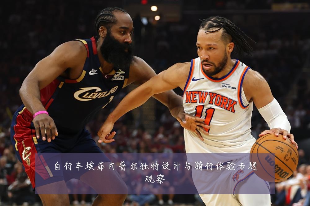 自行车埃菲内普尔独特设计与骑行体验专题观察